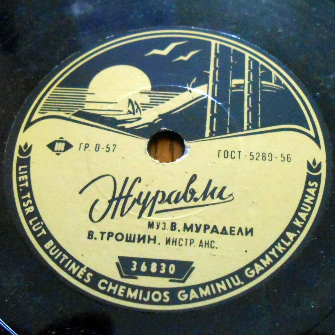 Владимир Трошин — Журавли / Есть такая любовь