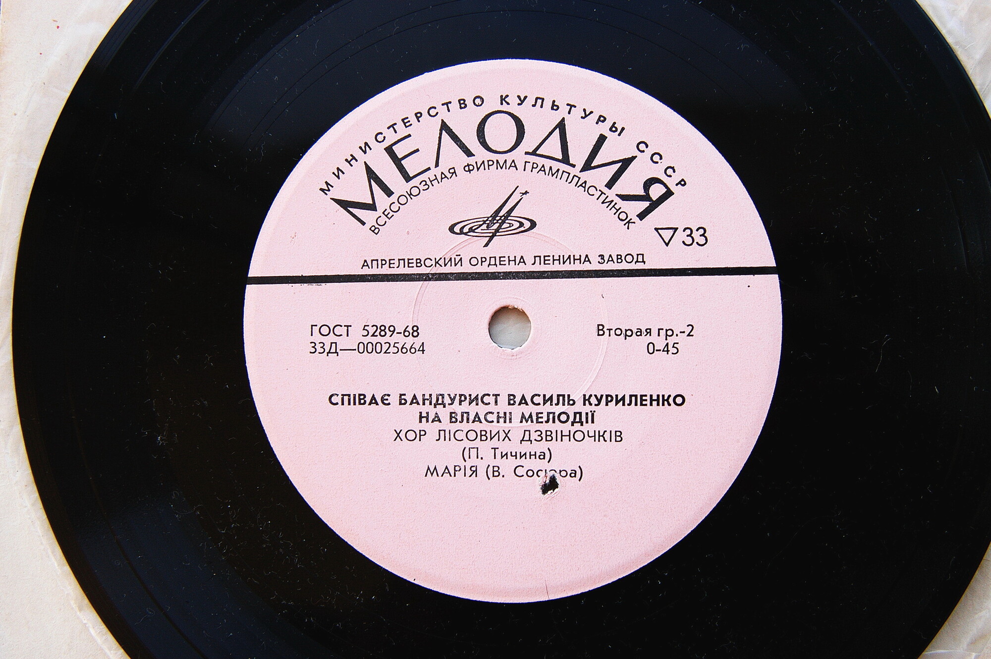 Василий КУРИЛЕНКО в собств. сопр. на бандуре