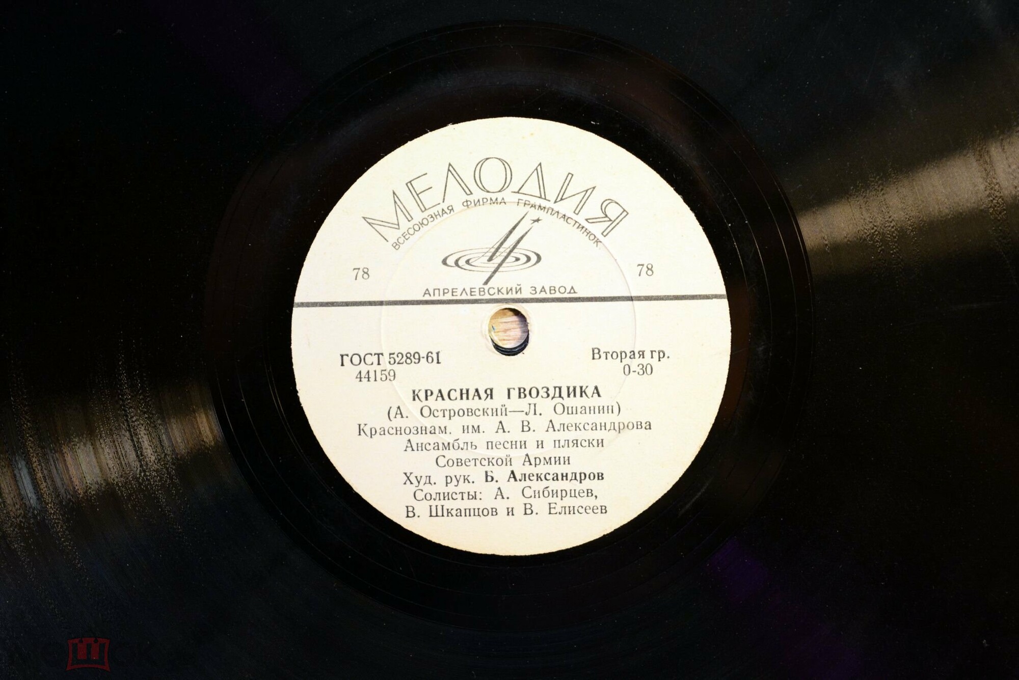 Красная гвоздика / Русская метелица