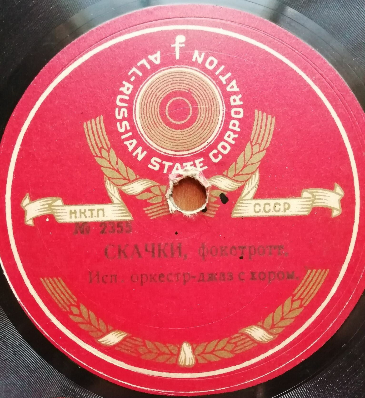 Скачки / Лаура