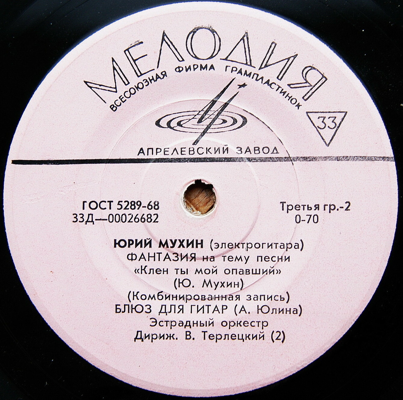 Юрий МУХИН (электрогитара)