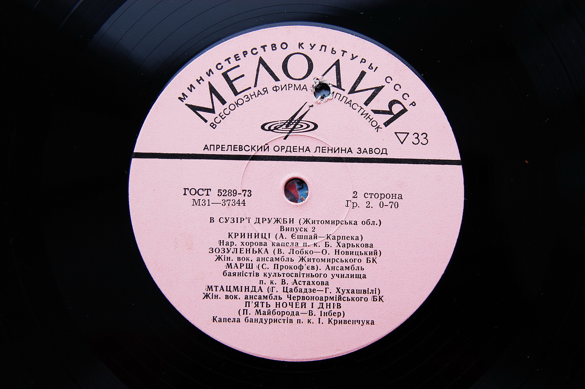 В СУЗIР'I ДРУЖБИ (фестиваль). Випуск 2. Житомирская область