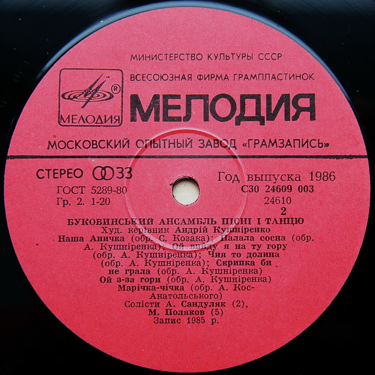 Буковинский ансамбль песни и танца, дирижер Андрей Кушниренко. «На вулицi скрипка грае»