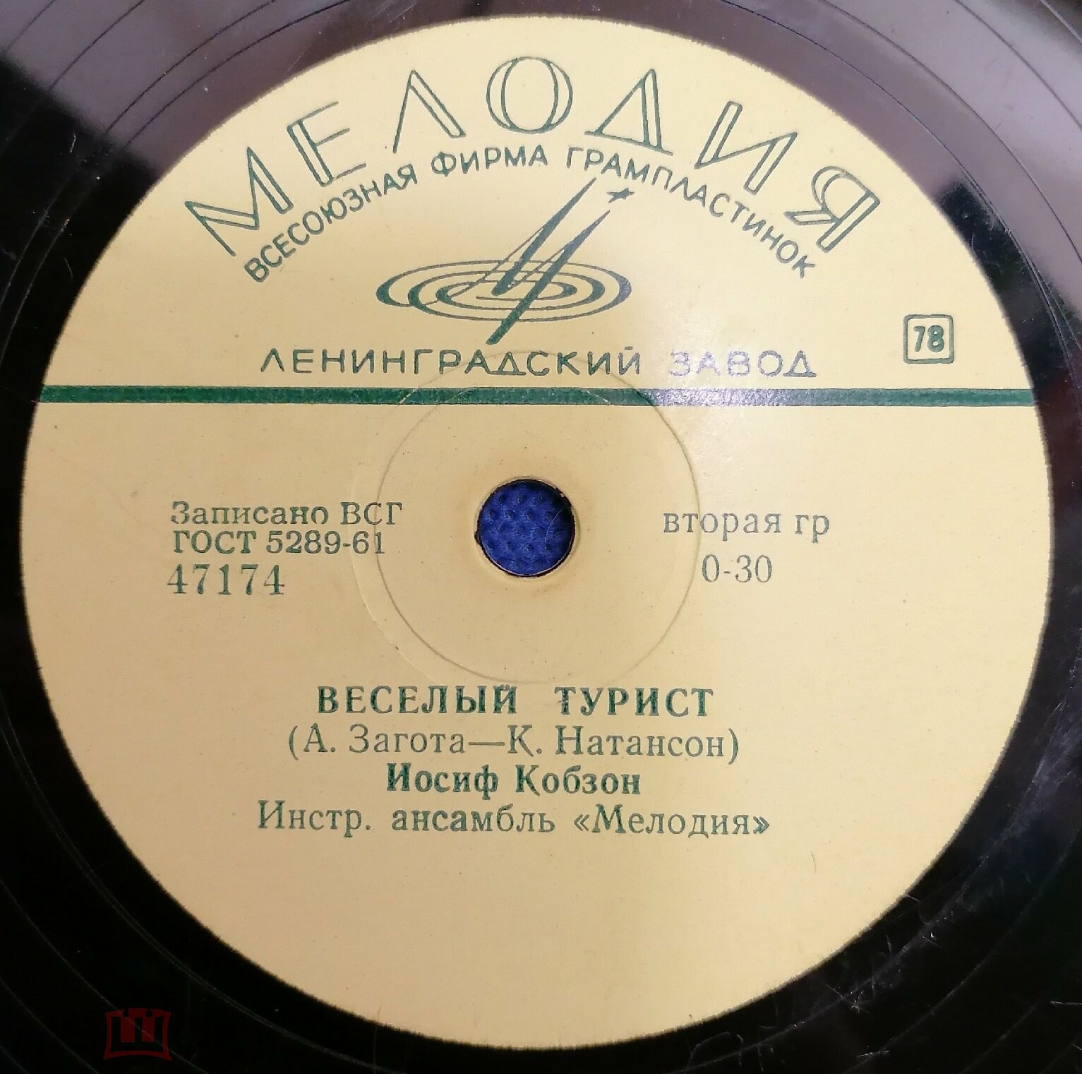 Тайга // Весёлый турист