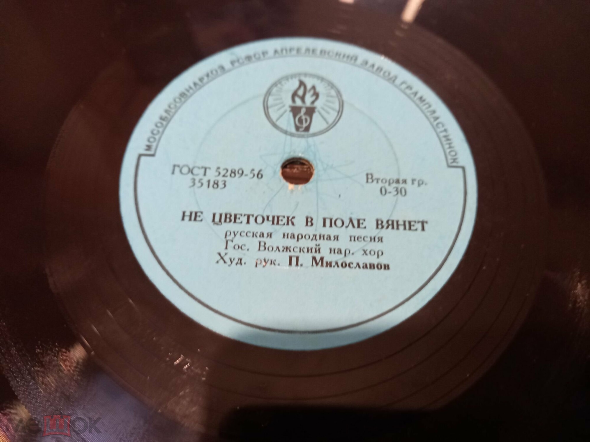Не цветочек в поле вянет / Саратовские страдания