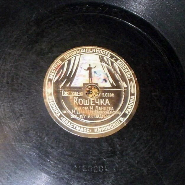 На прогулке // Кошечка