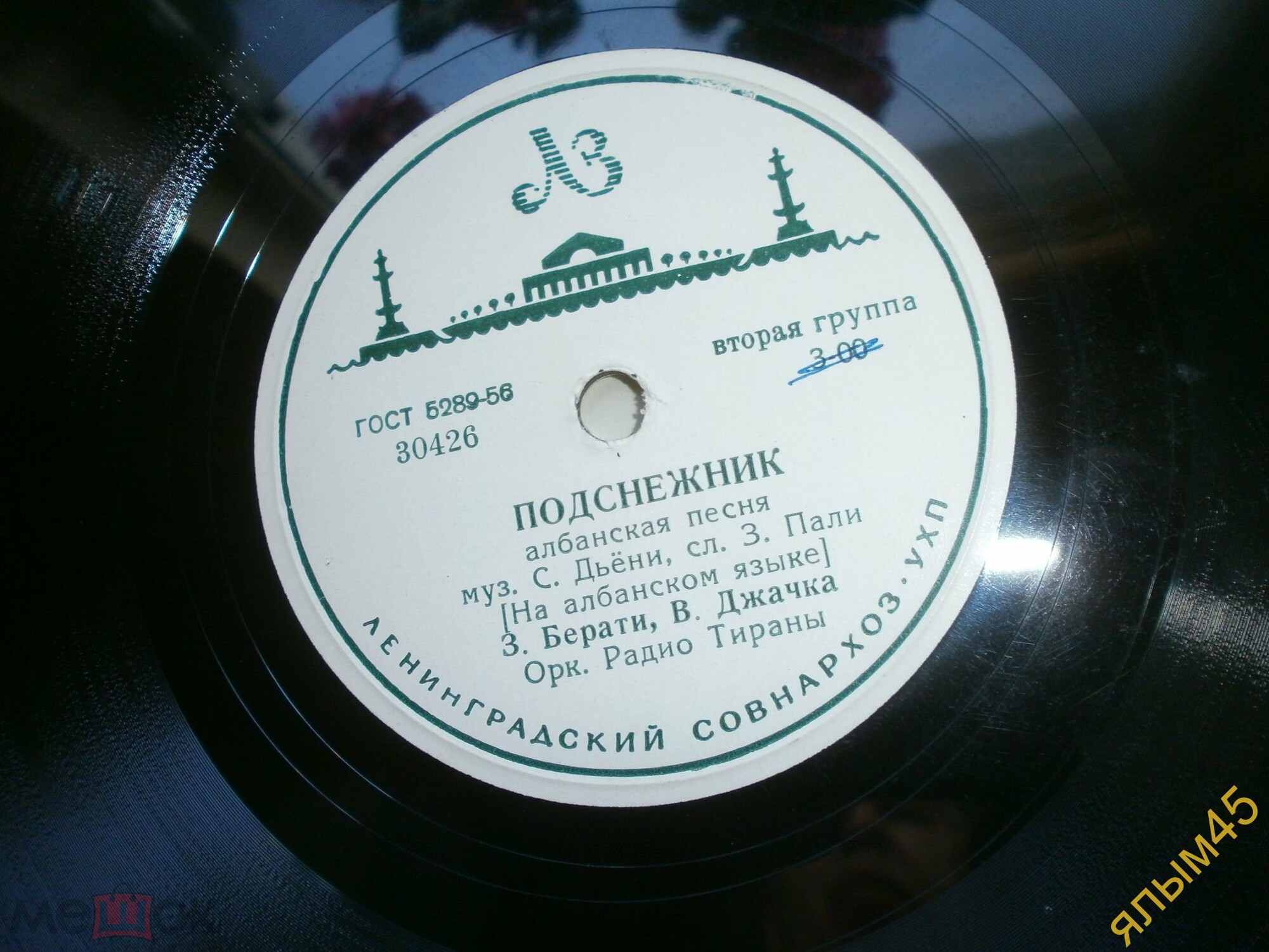 Подснежник / Откуда ты пришла