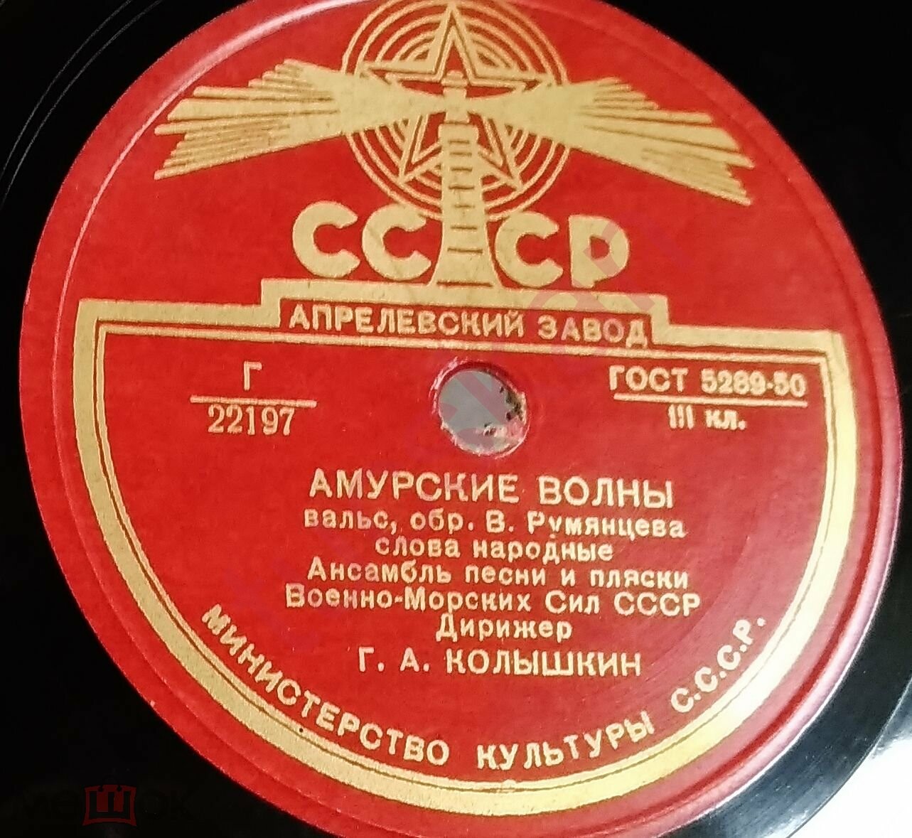 Амурские волны / Над волнами