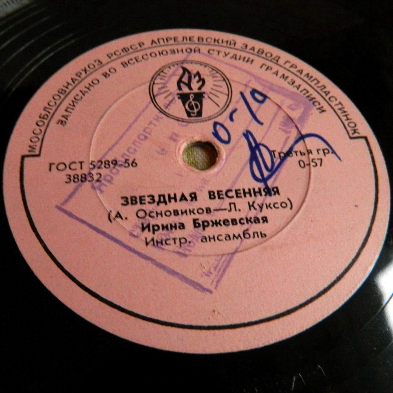 Ирина Бржевская