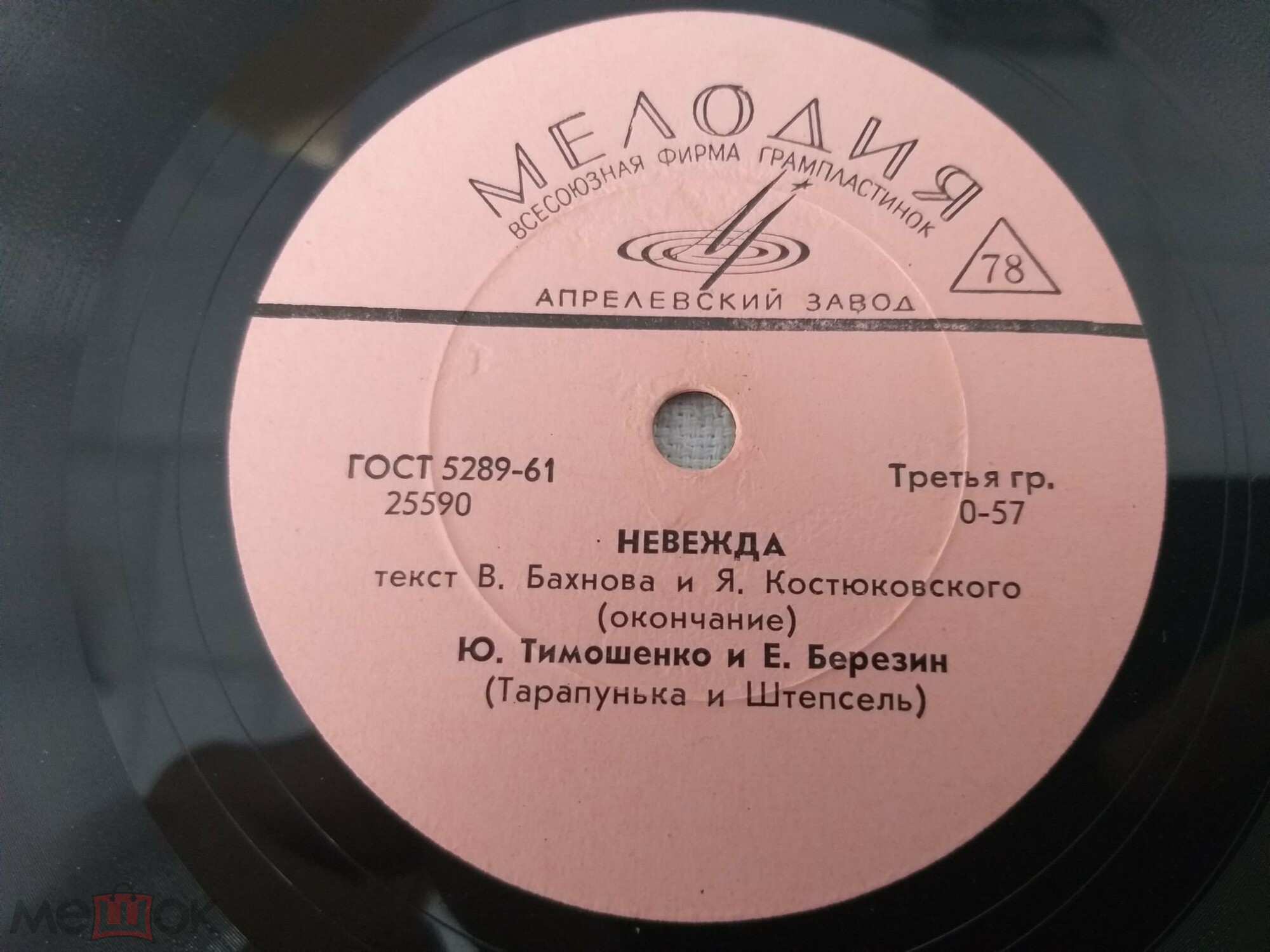 Ю. Тимошенко и Е. Березин