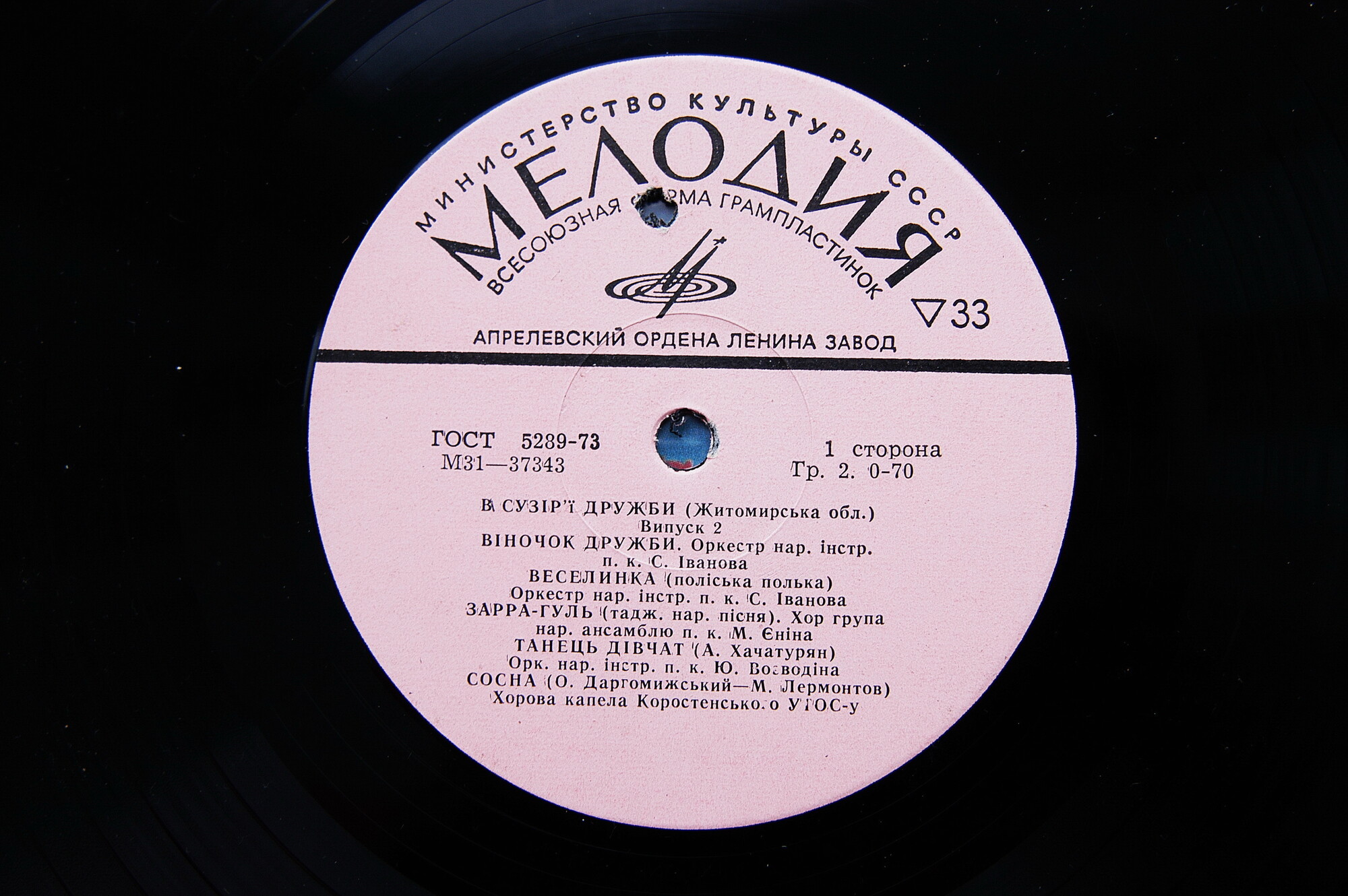 В СУЗIР'I ДРУЖБИ (фестиваль). Випуск 2. Житомирская область