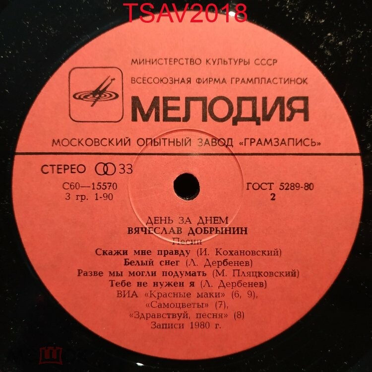 Вячеслав Добрынин - День за днем