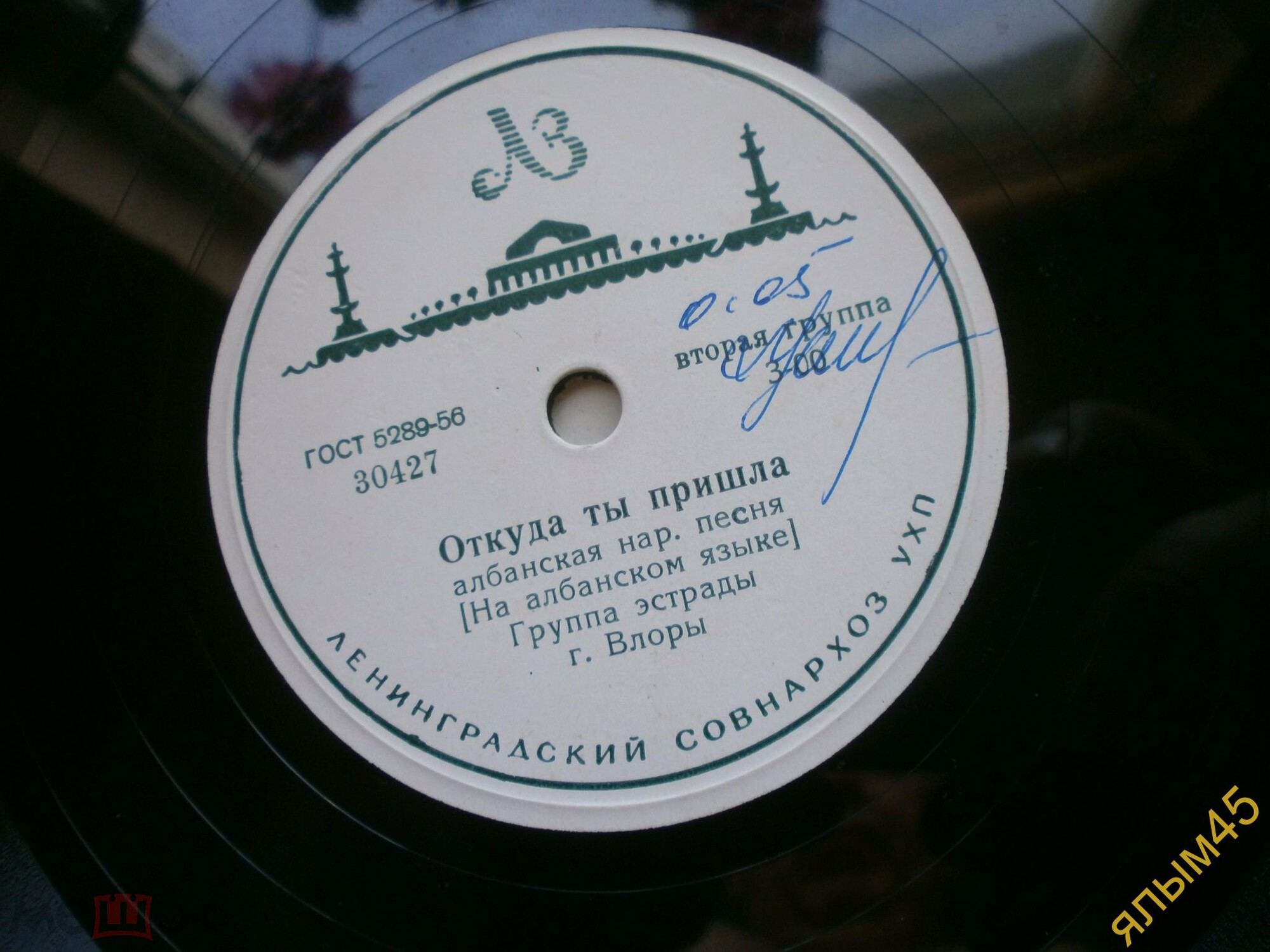 Подснежник / Откуда ты пришла