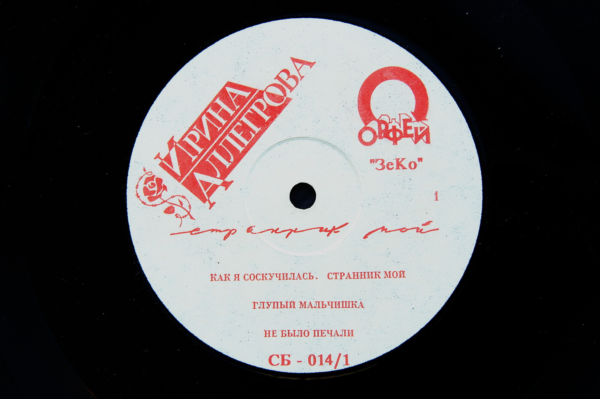 Ирина Аллегрова. «Странник мой»