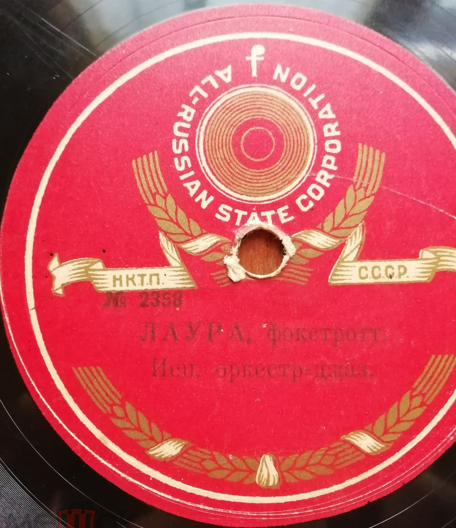 Скачки / Лаура