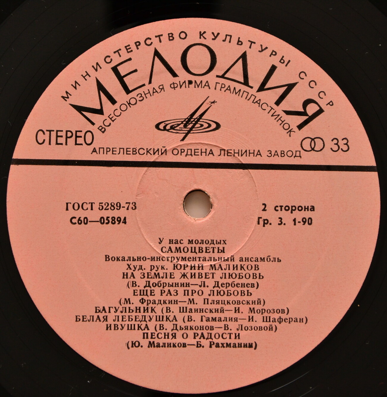 ВИА «Самоцветы». У нас, молодых