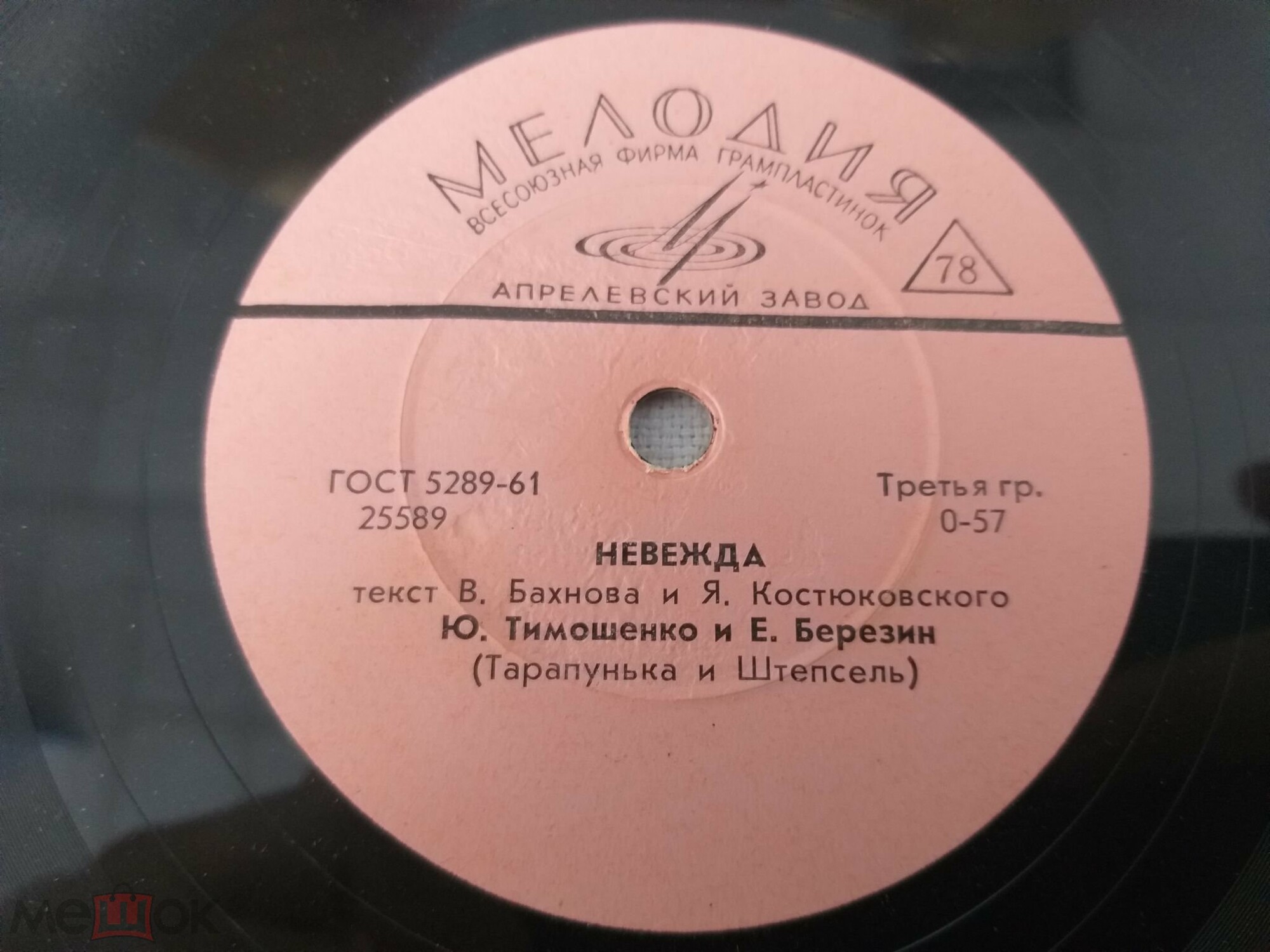 Ю. Тимошенко и Е. Березин