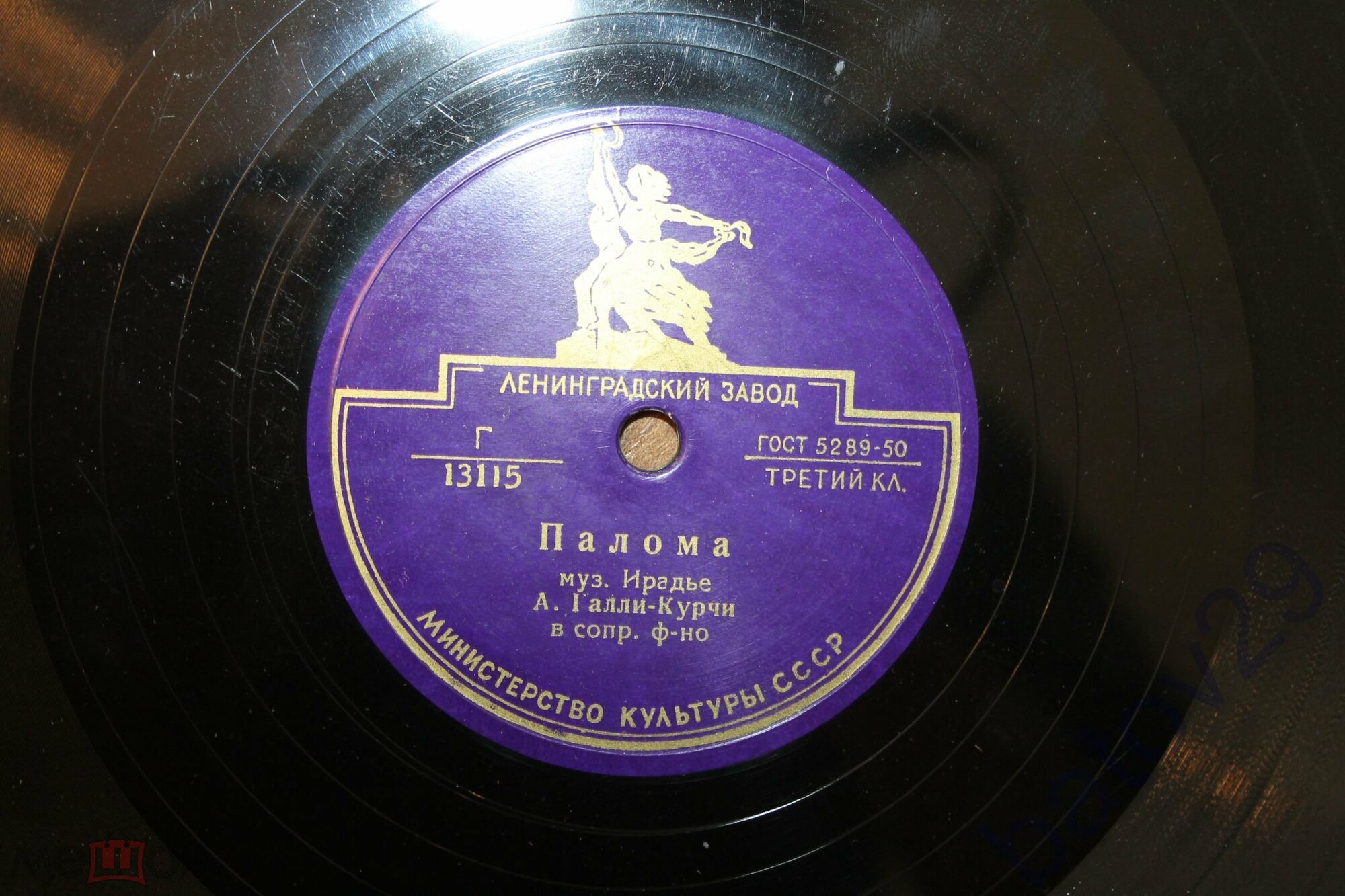 Палома / Сегедилья