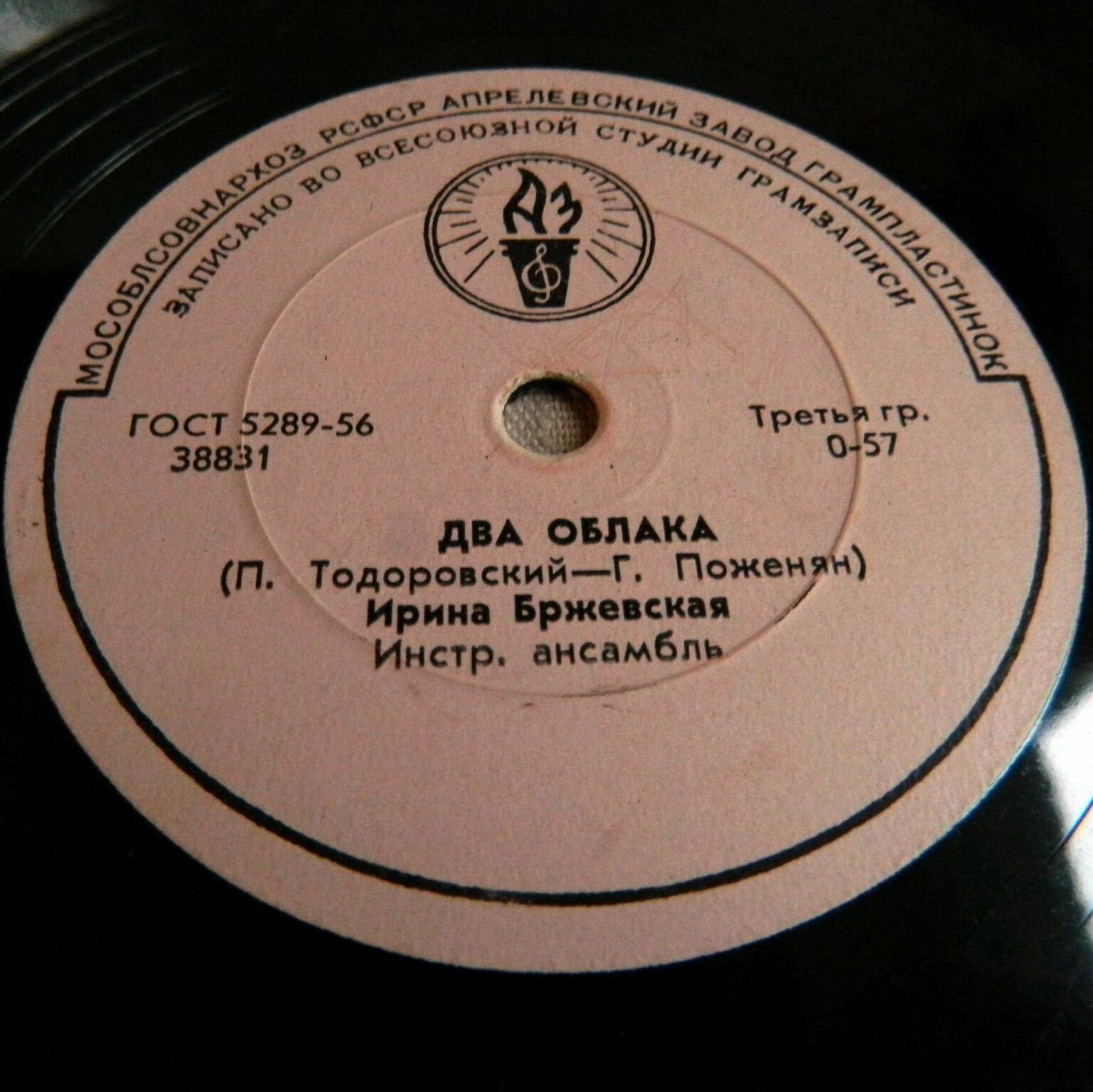 Ирина Бржевская