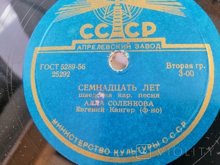 А. Соленкова — Семнадцать лет / Мотылек и фиалка