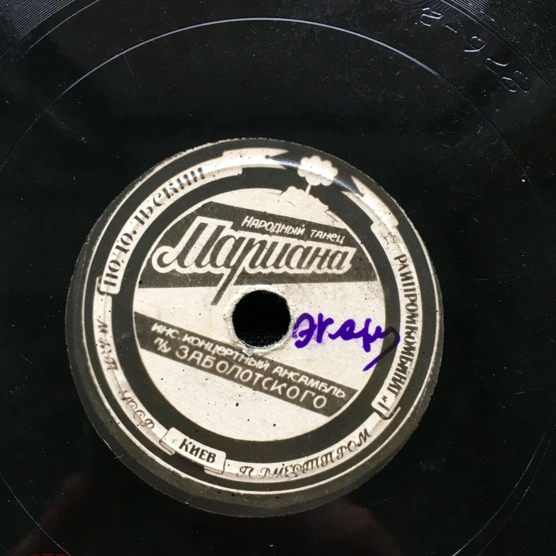 Сердце нежно всколыхнулось // Мариана