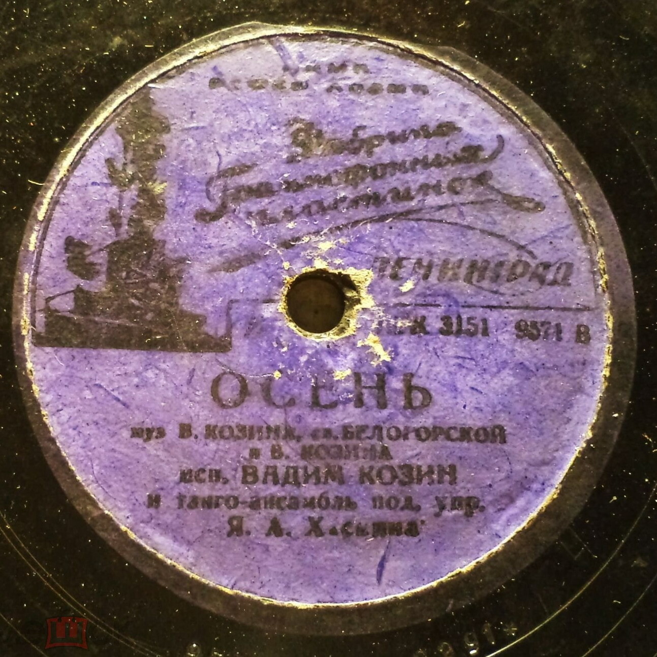 Шинаники // Осень