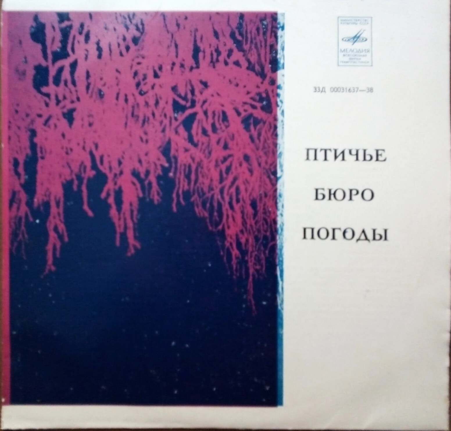 Птичье бюро погоды. Рассказы о птицах. Пояснительный текст А. Дитриха. Читает А. Покровский