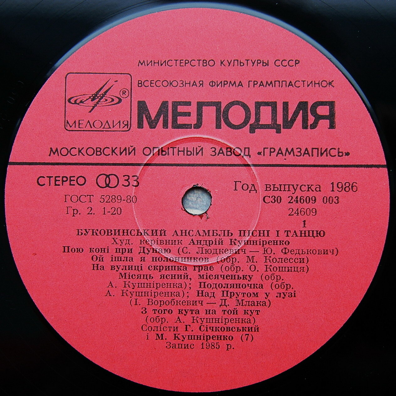 Буковинский ансамбль песни и танца, дирижер Андрей Кушниренко. «На вулицi скрипка грае»