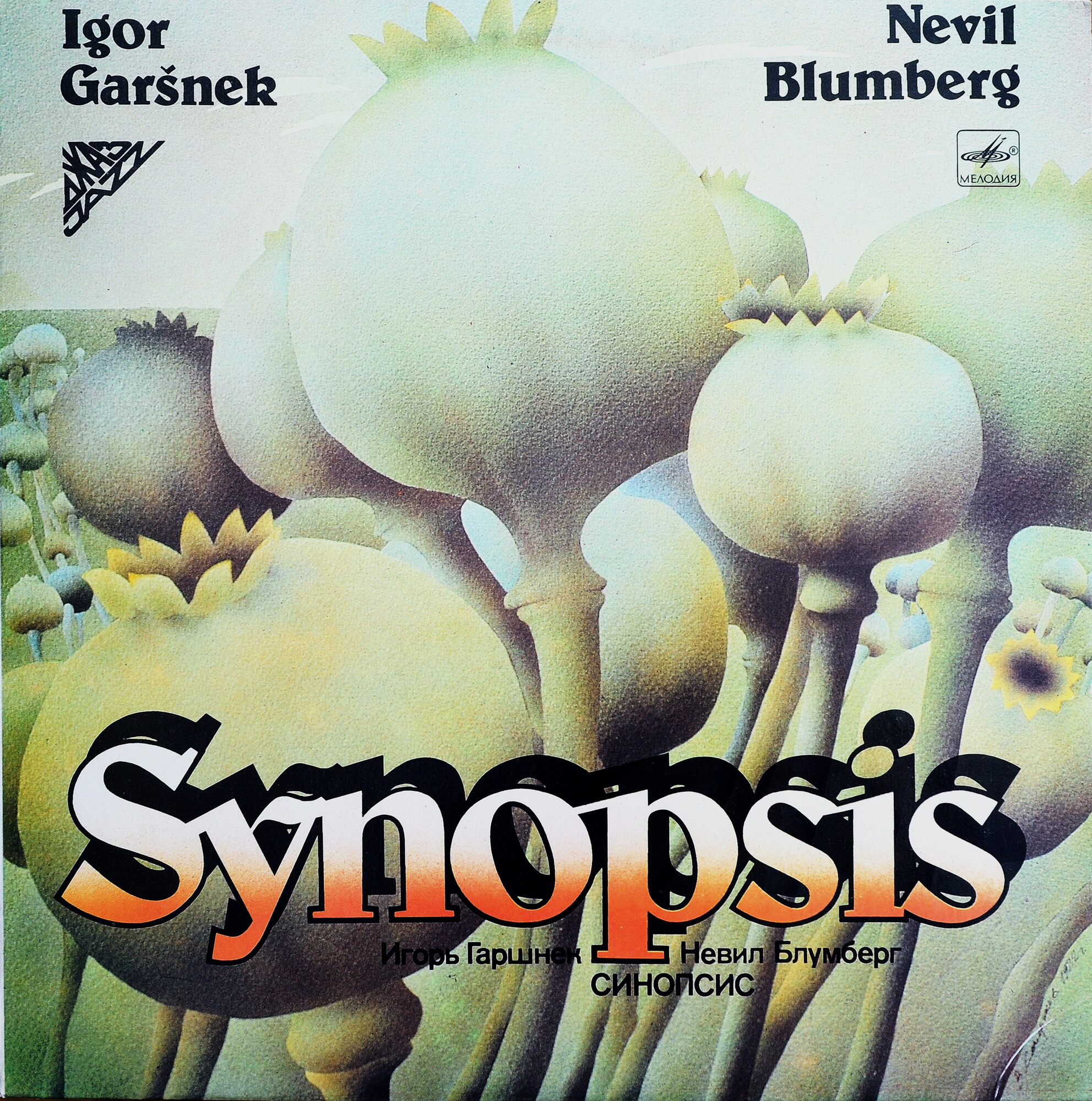 СИНОПСИС (SYNOPSIS): Игорь Гаршнек и Невил Блумберг