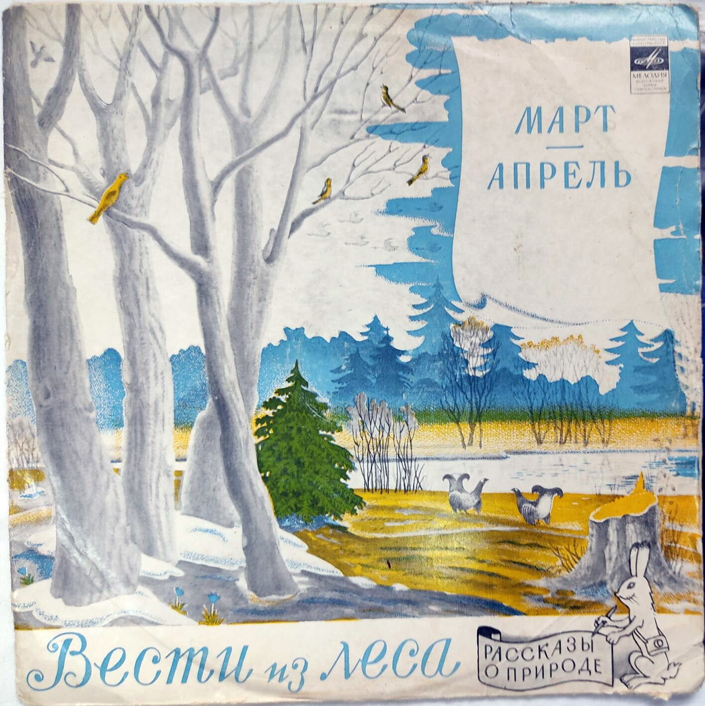Вести из леса. Март, апрель