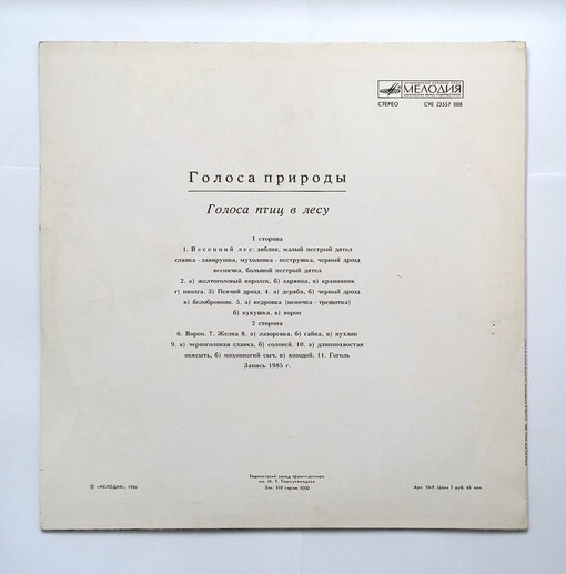 Голоса птиц в лесу (I)