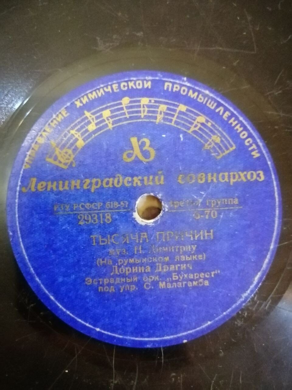 Дорина Драгич (Румыния)