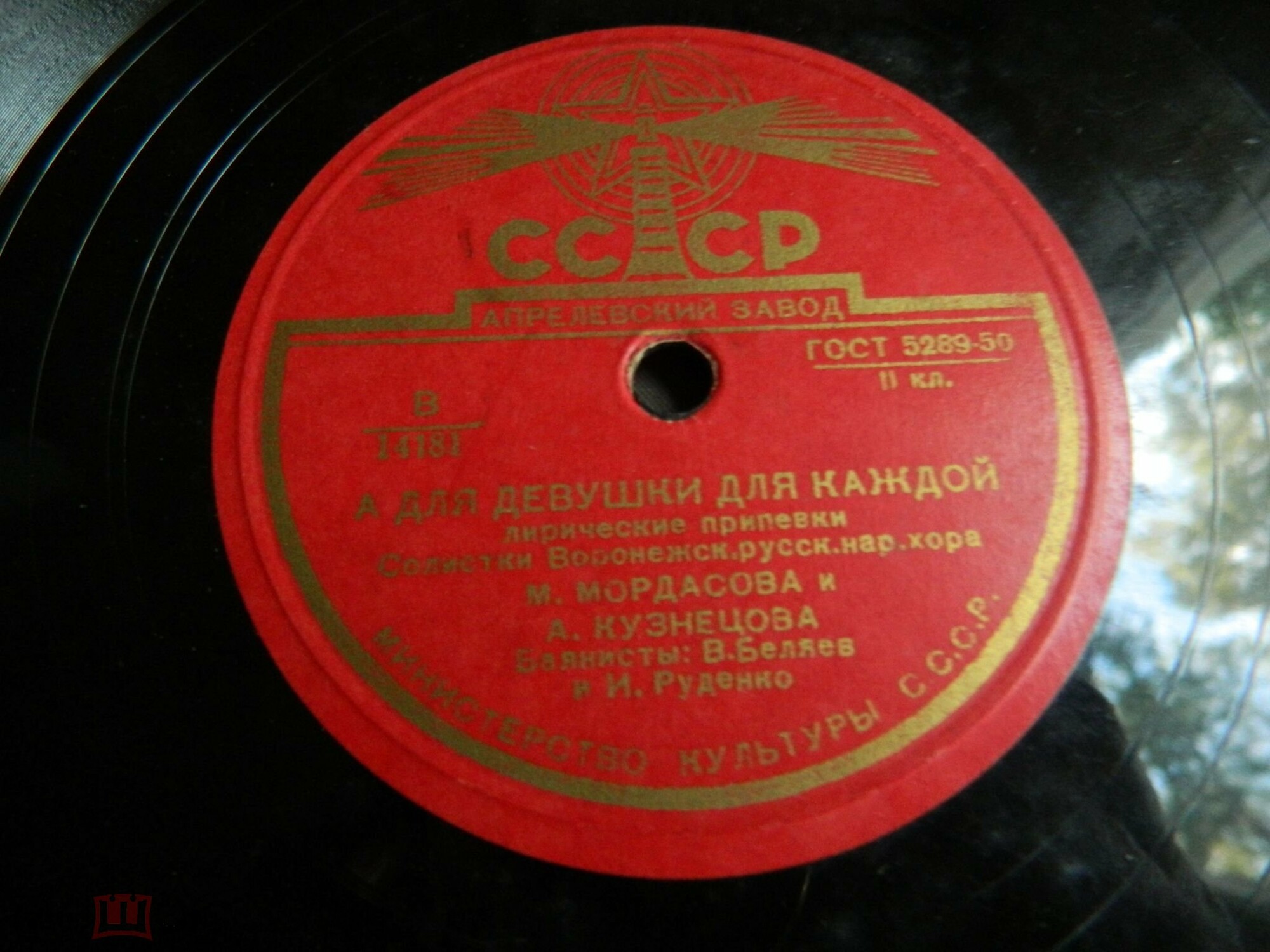 Воронежский русский нар. хор - Вьюн над водой увивается / А для девушки для каждой