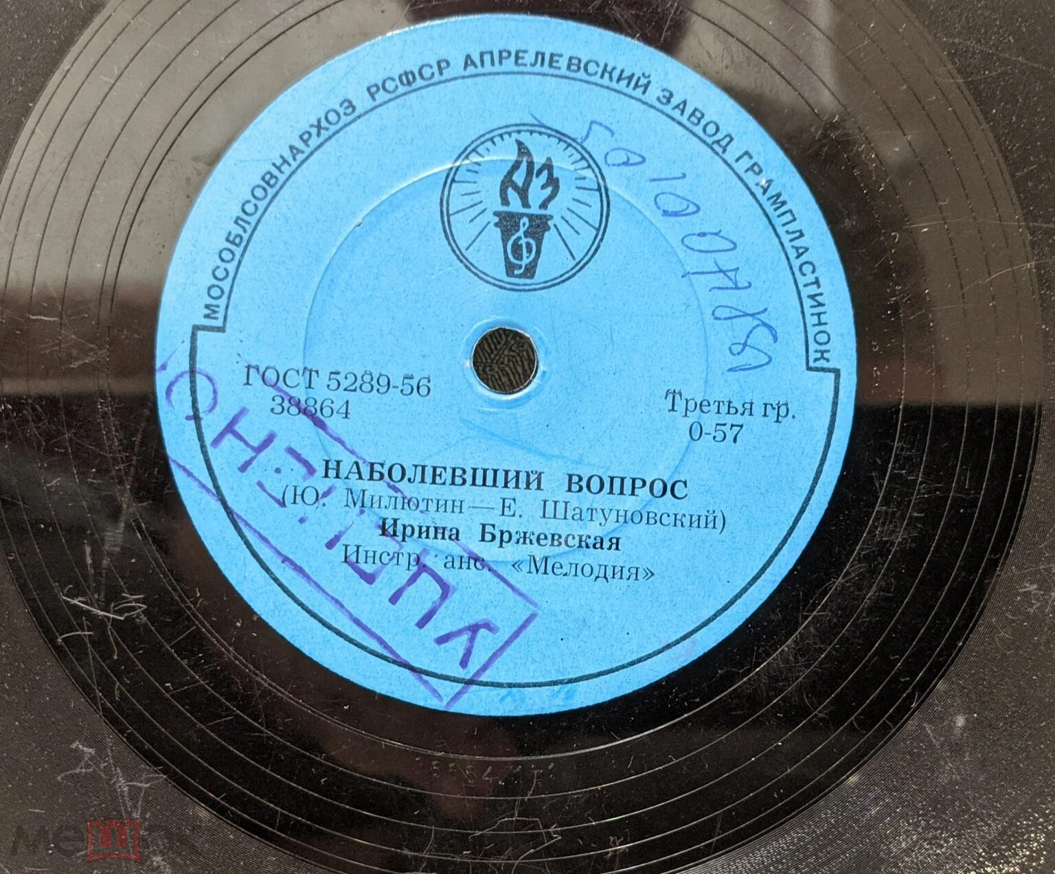 Ирина Бржевская