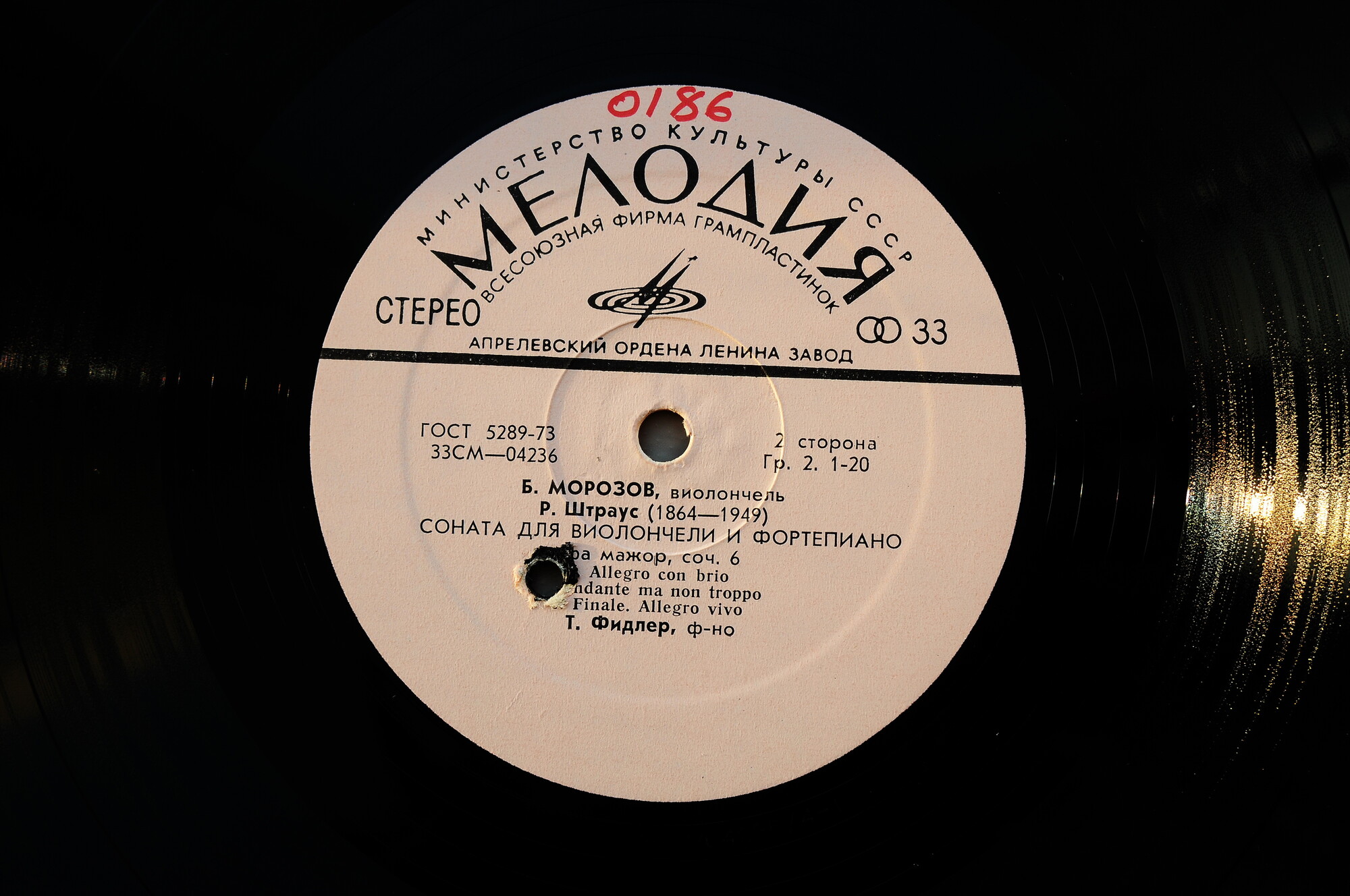 Бениамин МОРОЗОВ (виолончель)