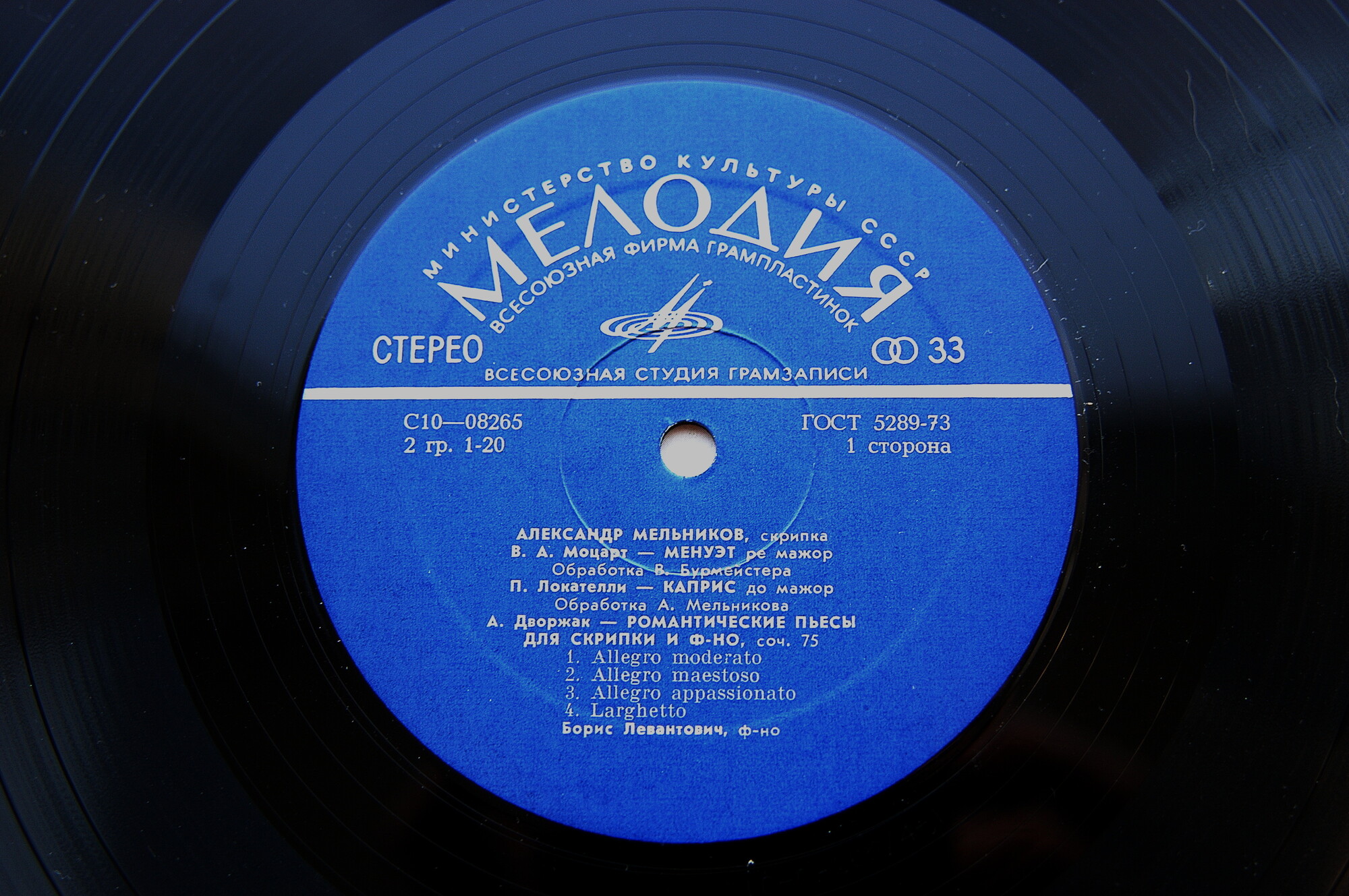 Александр МЕЛЬНИКОВ (скрипка)