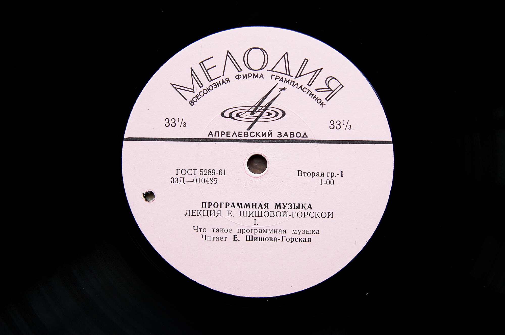 "ПРОГРАММНАЯ МУЗЫКА" (лекция Е. Шишовой-Горской)