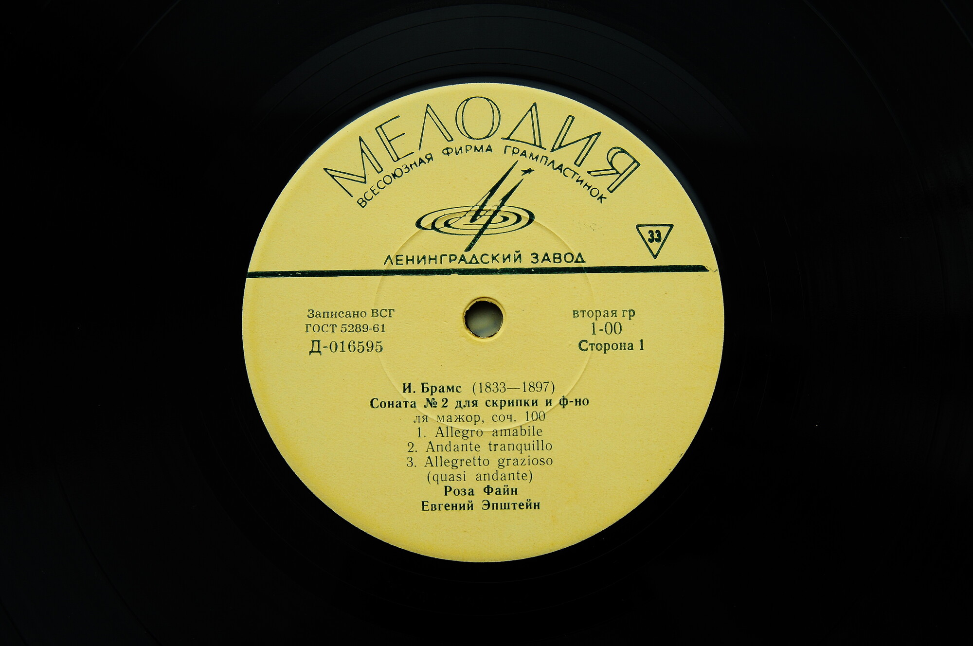 Роза ФАЙН (скрипка)