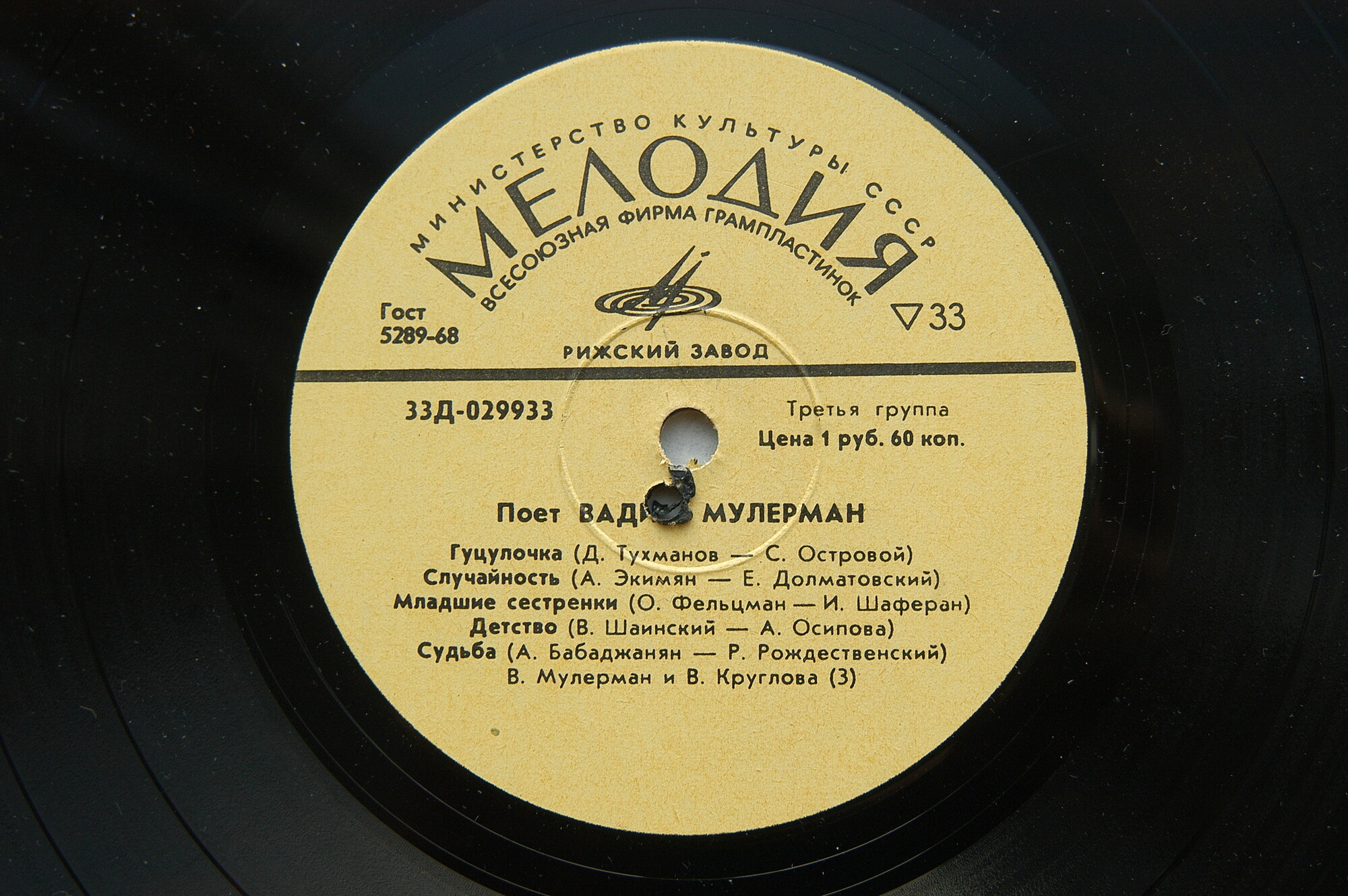 Поёт Вадим Мулерман