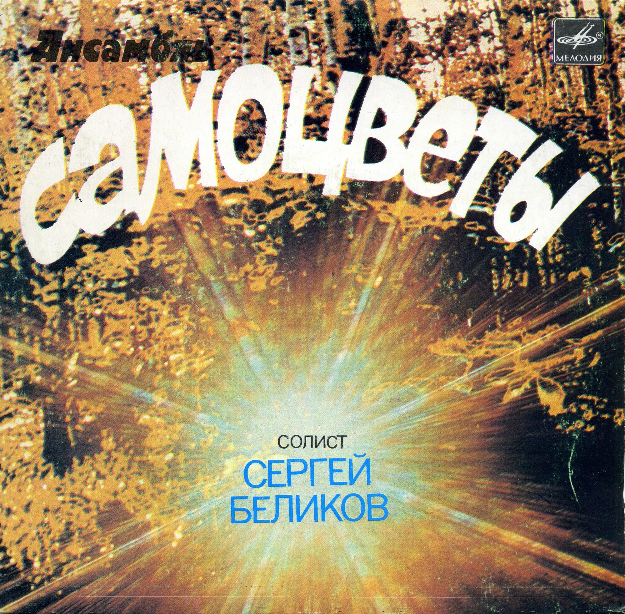 Ансамбль «Самоцветы»