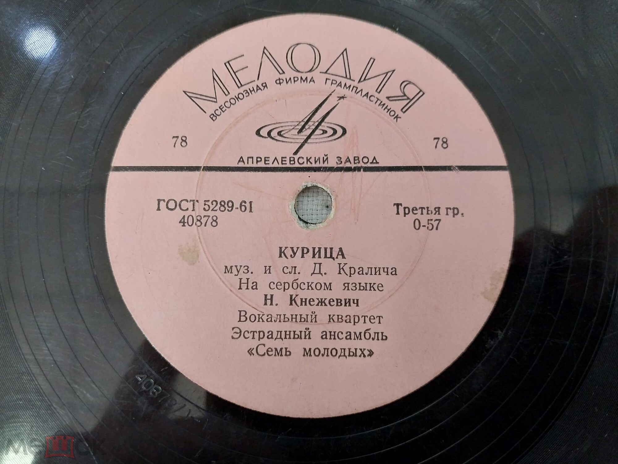 Н. Кнежевич - Фатима / Курица