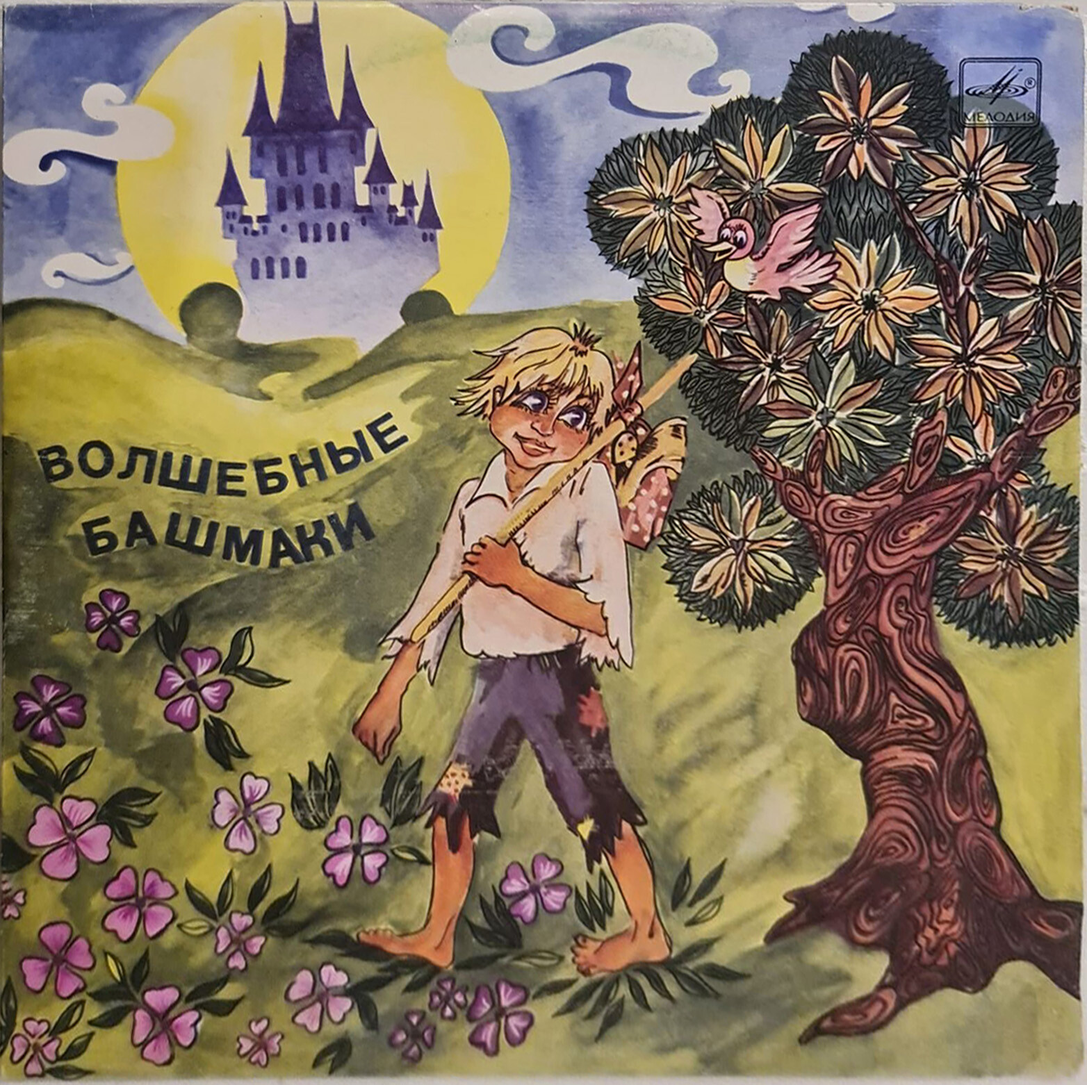 Волшебные башмаки