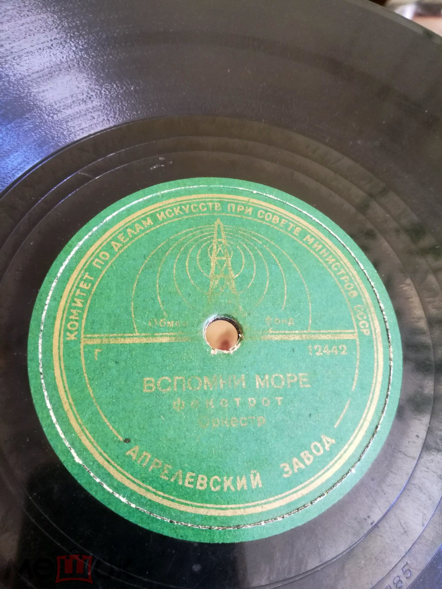 Оркестр — В лесу / Вспомни море