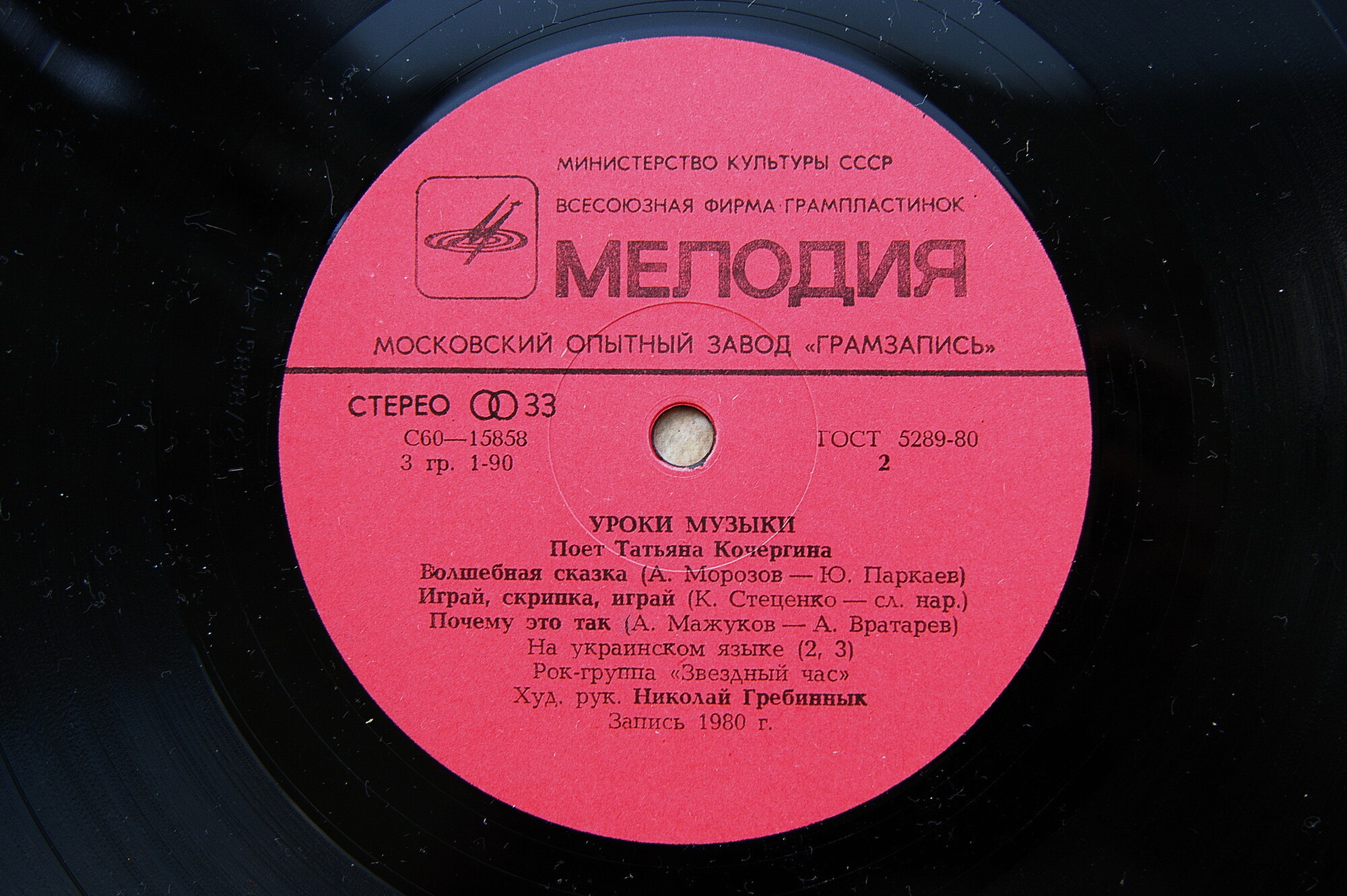 Уроки музыки. Поет Татьяна Кочергина