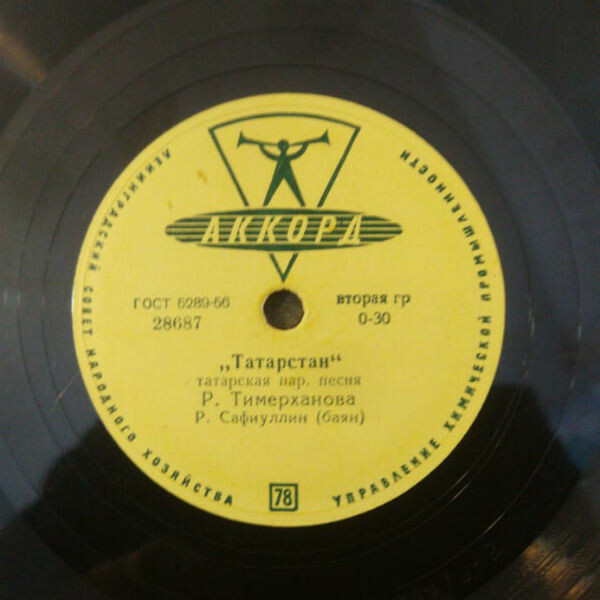 Р. ТИМЕРХАНОВА (на татарском языке)