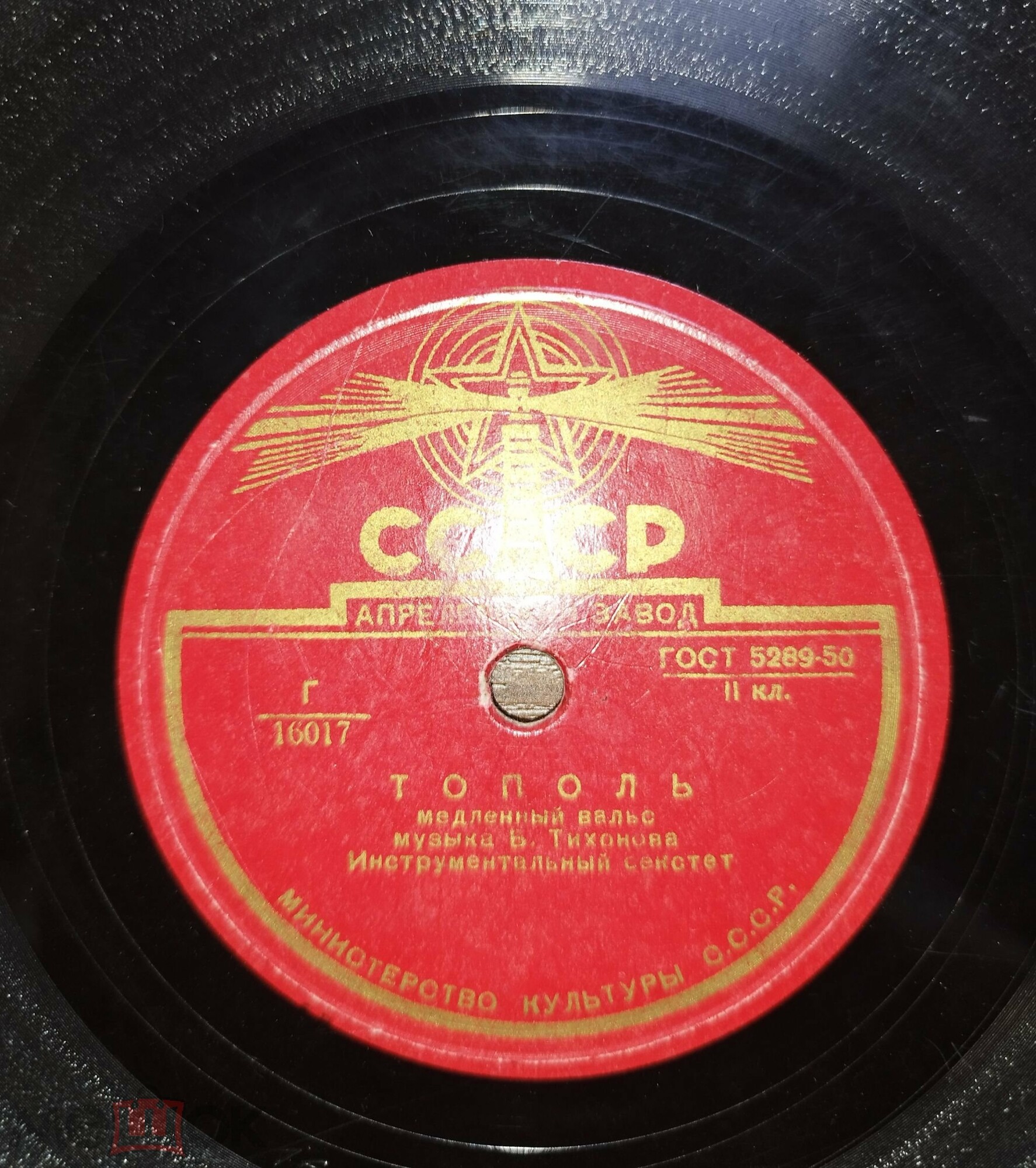 Инстр. ансамбль - Тополь / Цветущий май