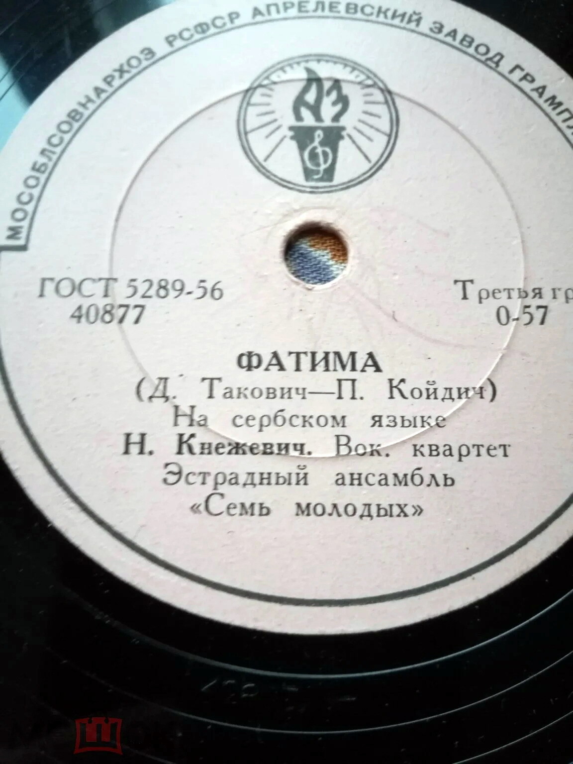 Н. Кнежевич - Фатима / Курица