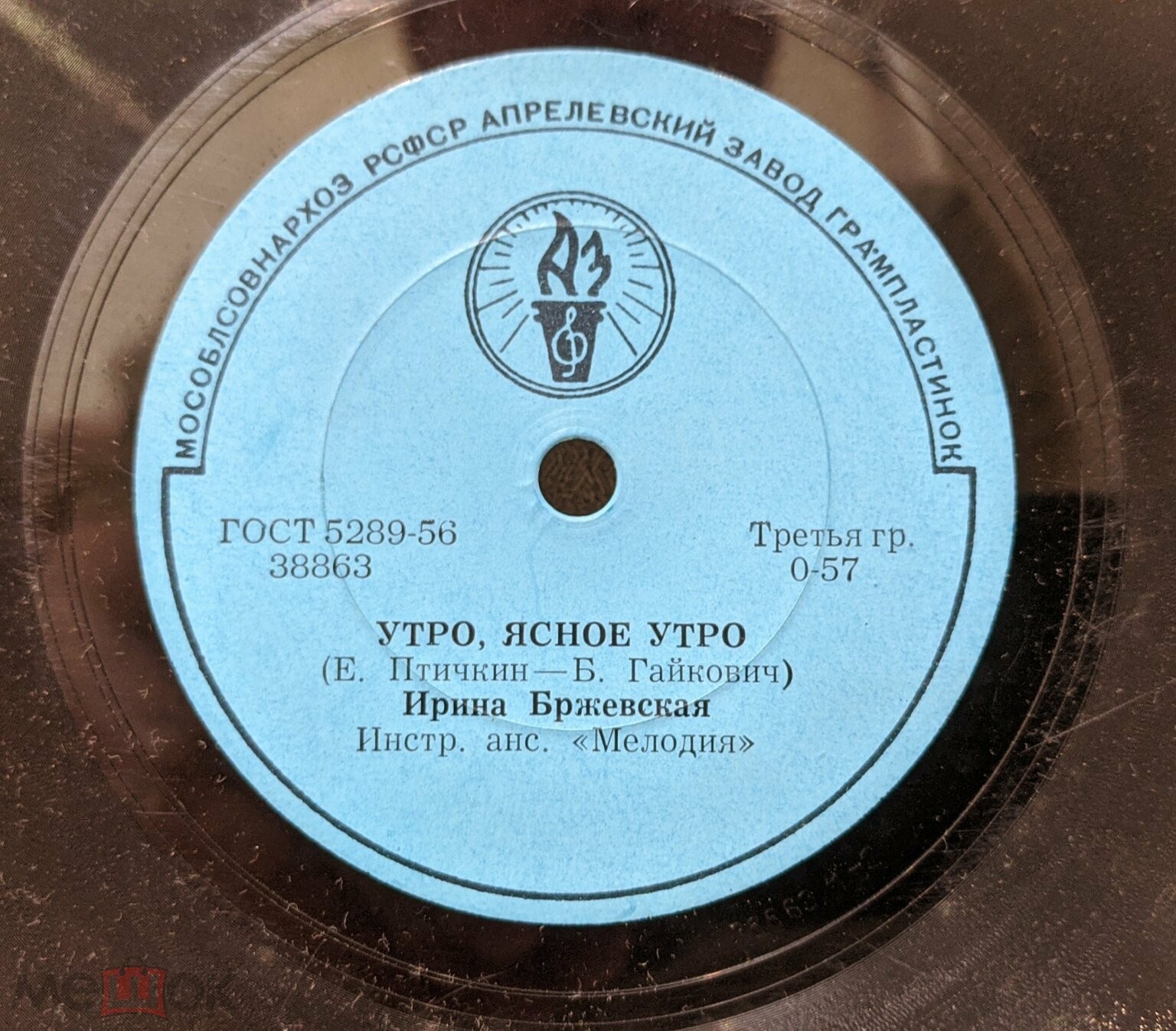 Ирина Бржевская