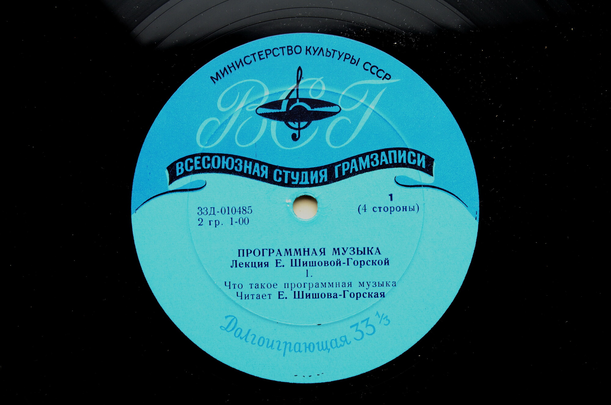 "ПРОГРАММНАЯ МУЗЫКА" (лекция Е. Шишовой-Горской)
