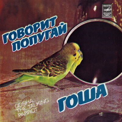 Говорит попугай Гоша